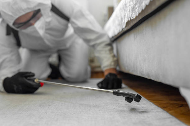 Professional Pest Control technician working in Greene County County, IA
